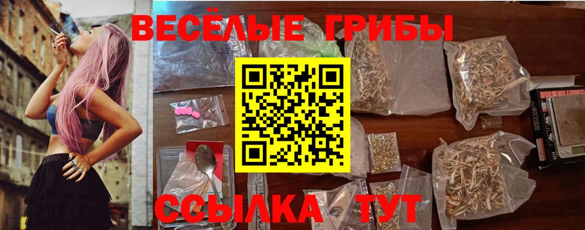 Псилоцибиновые грибы мицелий  Вход с VPN  Карпинск 