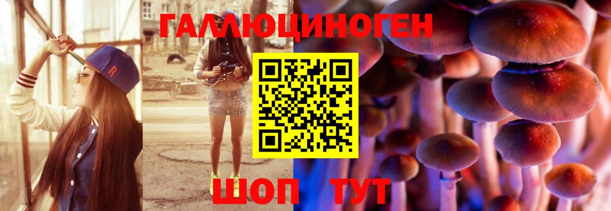 Псилоцибиновые грибы Psilocybine cubensis Карпинск